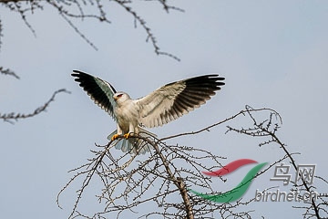 DSC05187 - ����.jpg