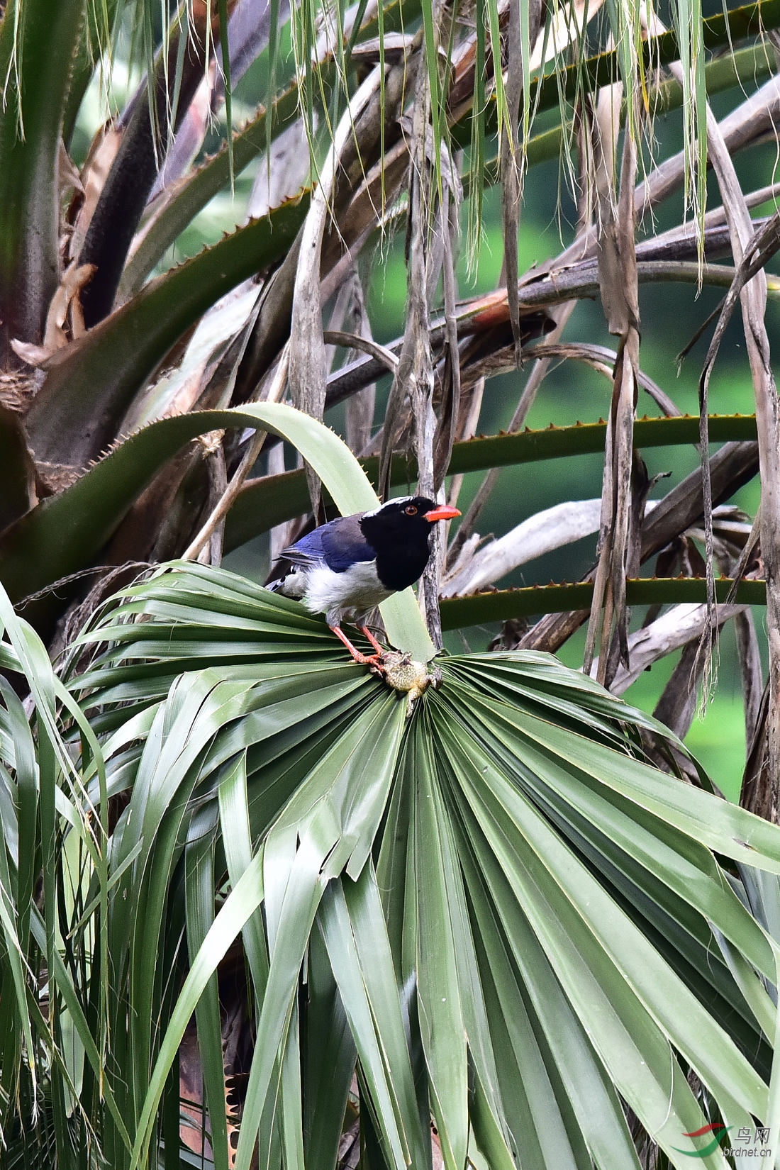 DSC_0156.JPG