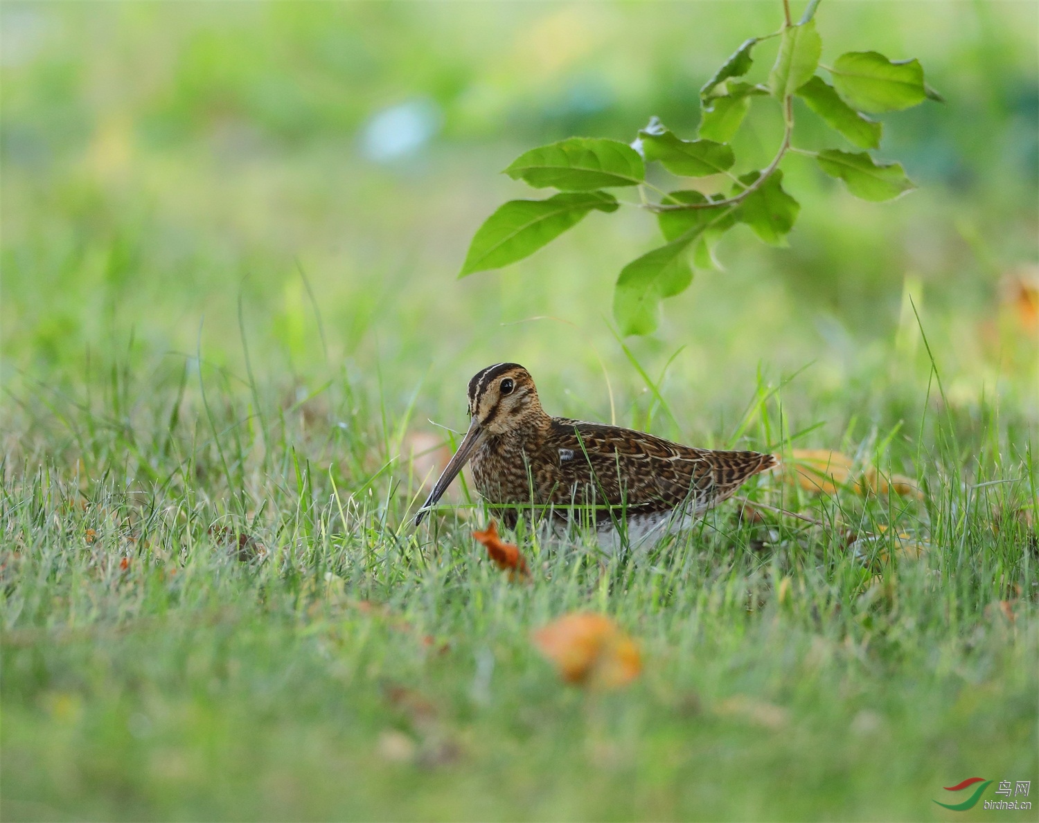 6 - ����.JPG