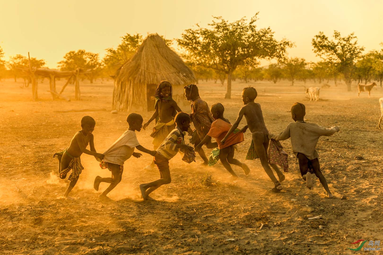 1-���׺�ͯ3 children of Namibia3.jpg