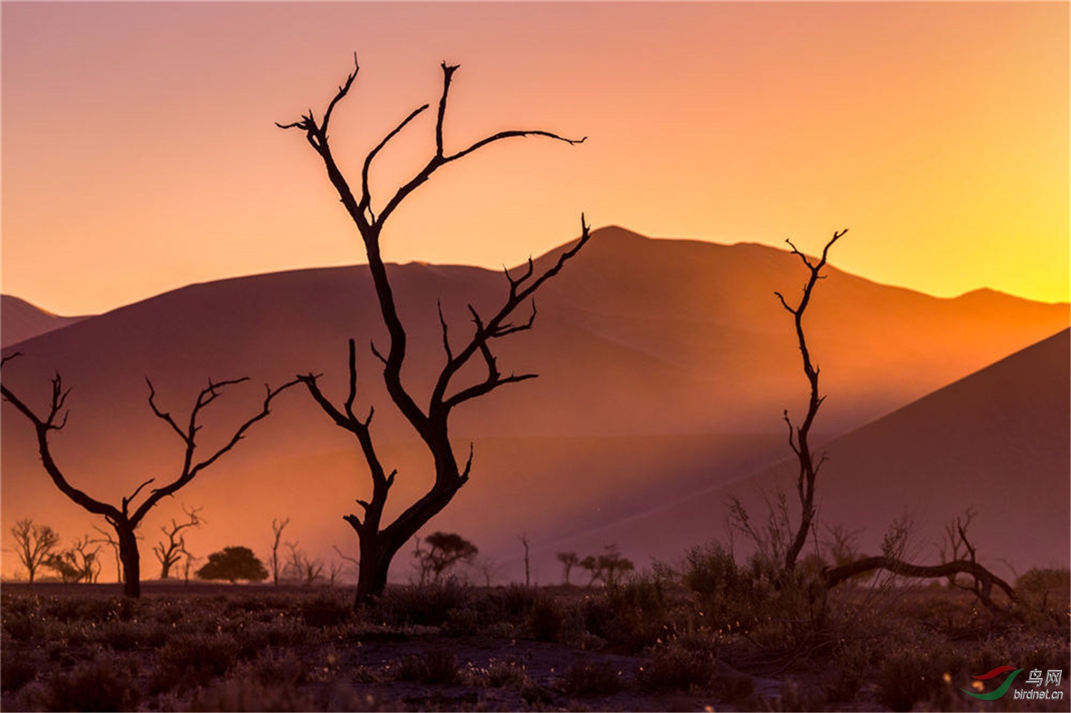 13-���׺�ɳĮ4 Namibia red desert4.jpg