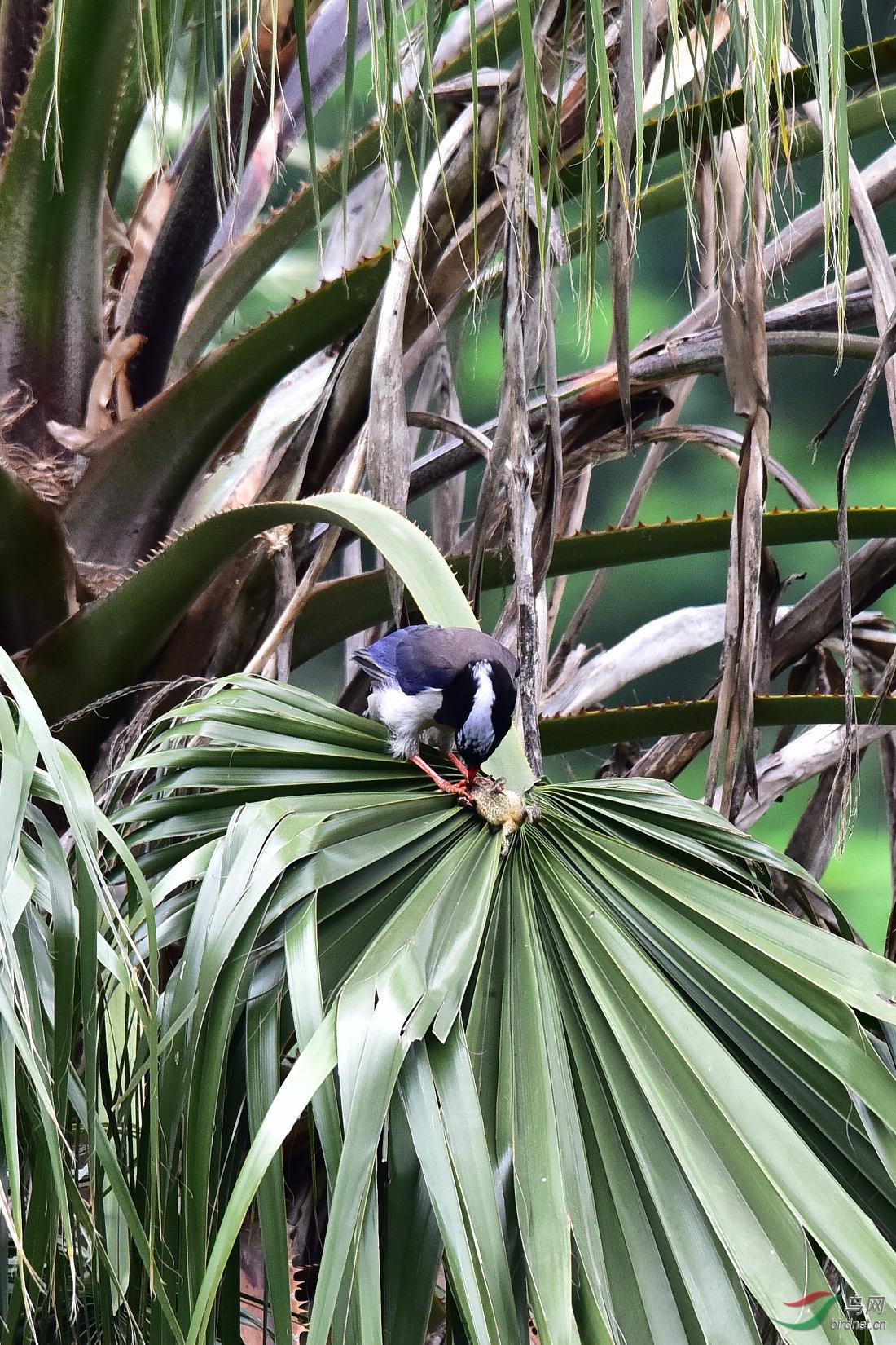 DSC_0157.JPG