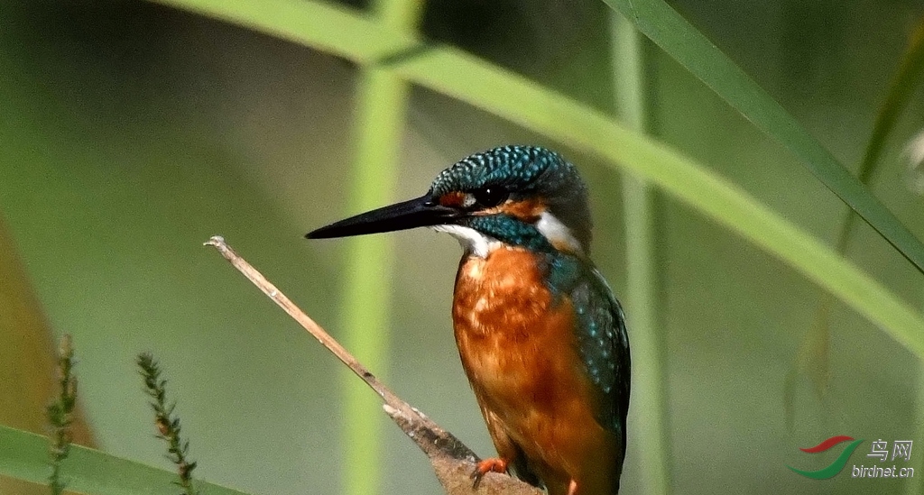 DSC_5672_����.jpg