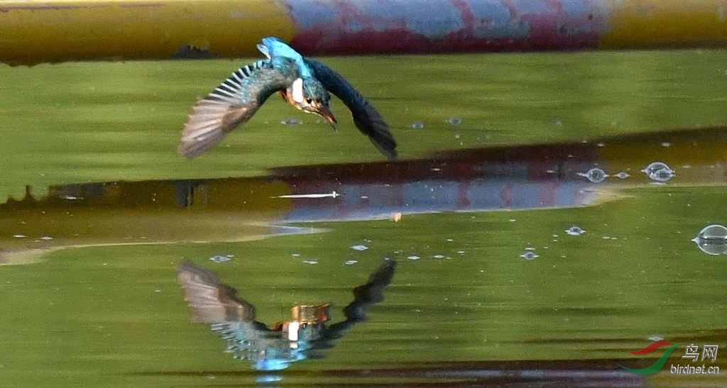 DSC_5815_����_����.jpg