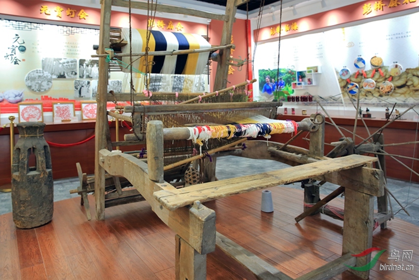 ���������Ĺ��� �����Ļ����ã�0262.jpg