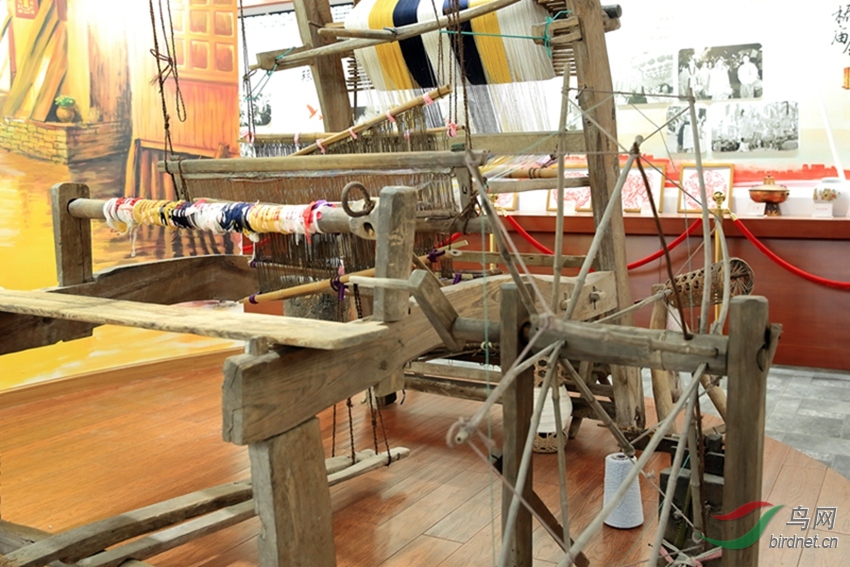 ���������Ĺ��� �����Ļ����ã�0264.jpg