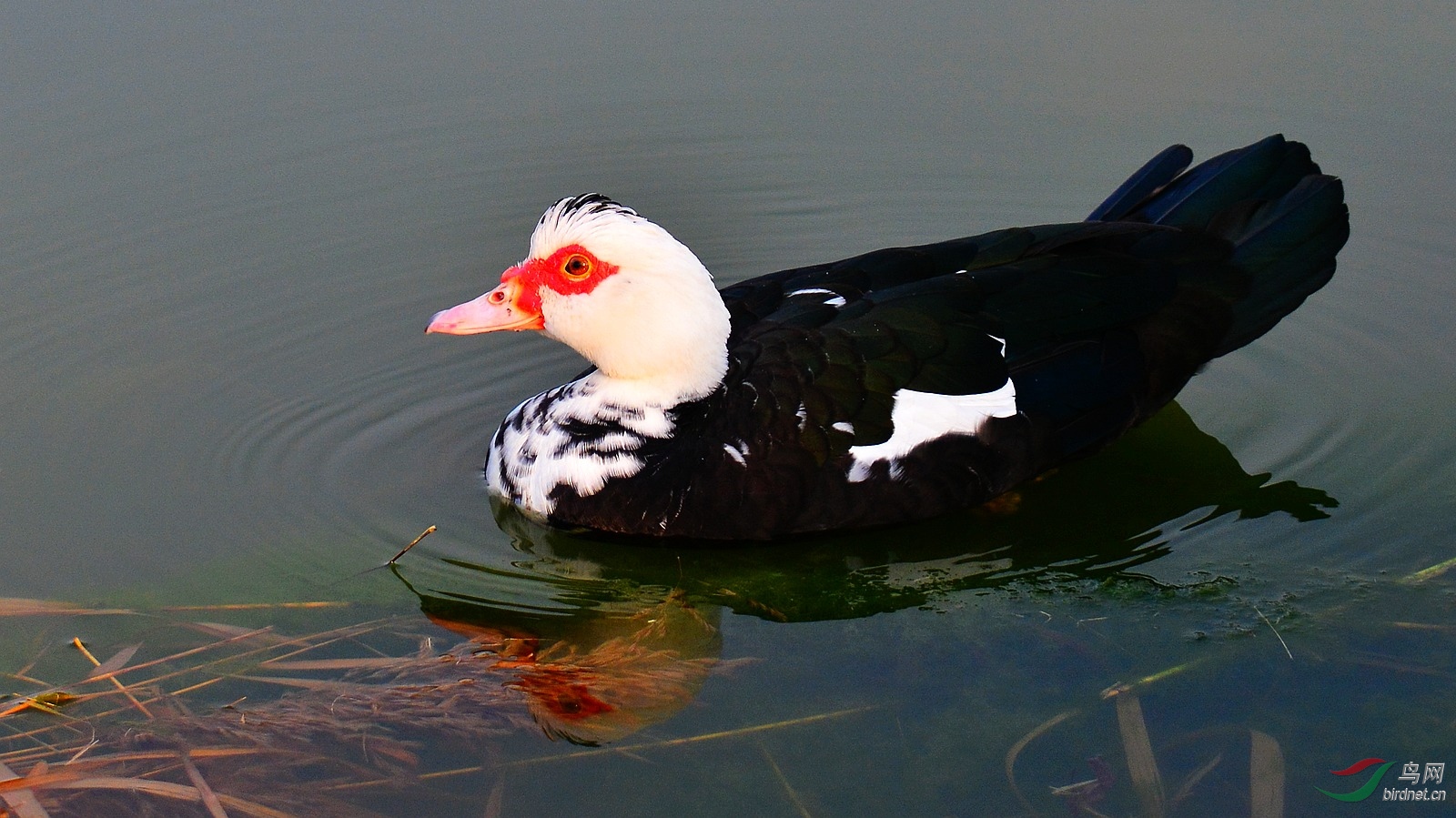 DSC_4053.JPG