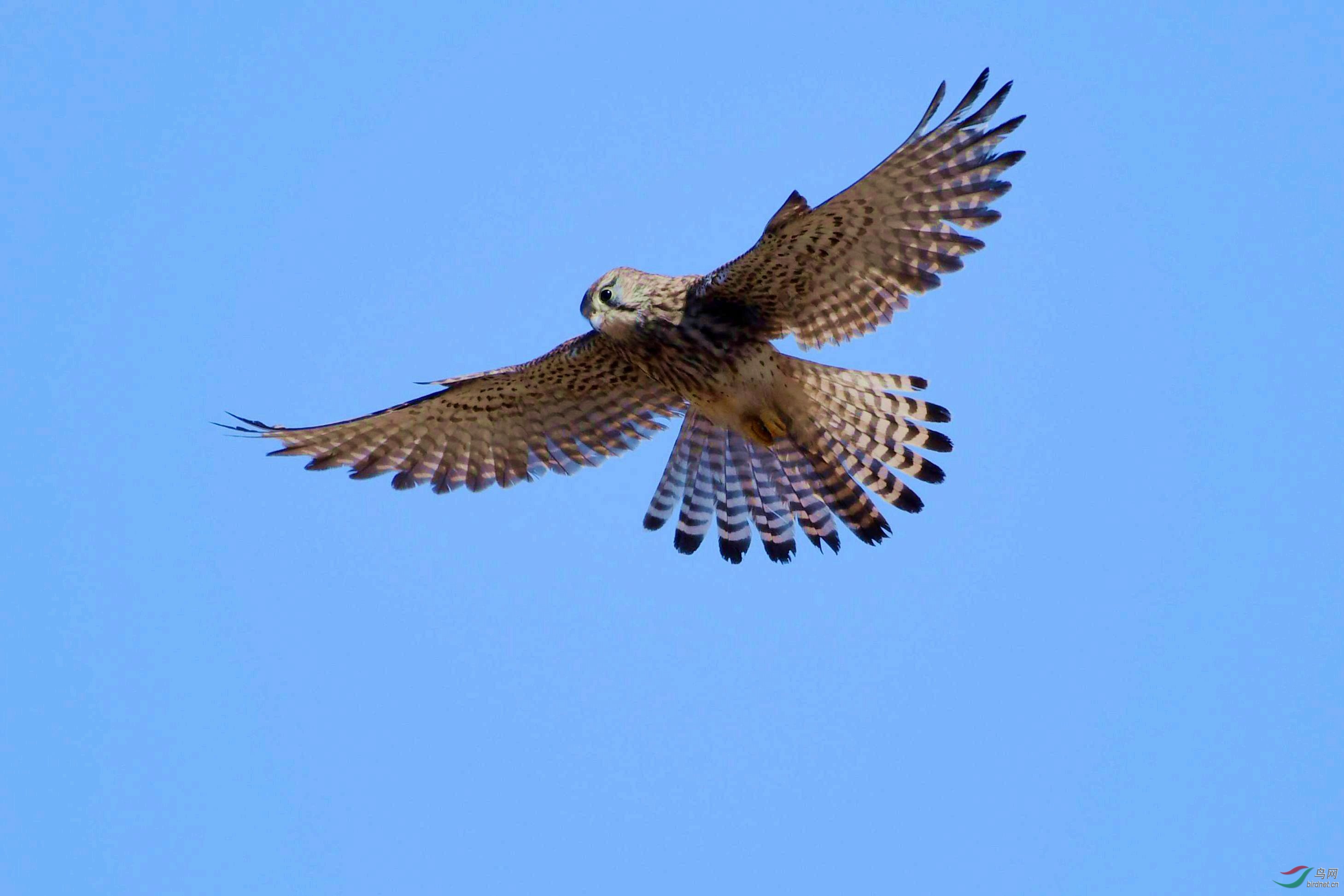 ��β���񣬣� 268.JPG