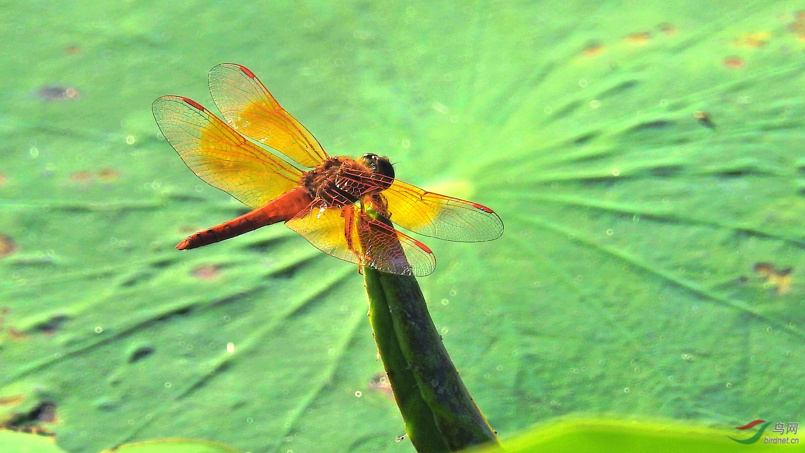 DSCN9254.JPG