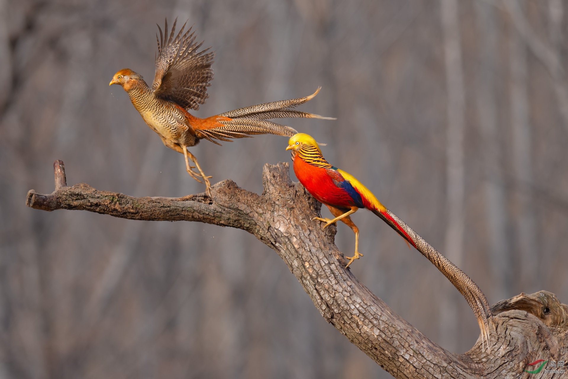 DSC_9469-�༭.jpg