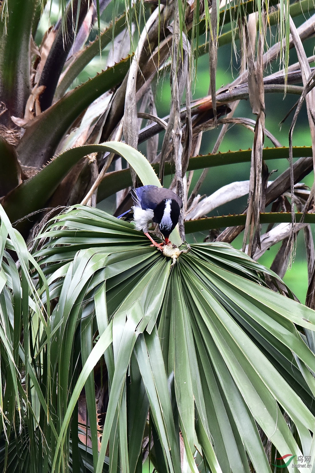 DSC_0162.JPG