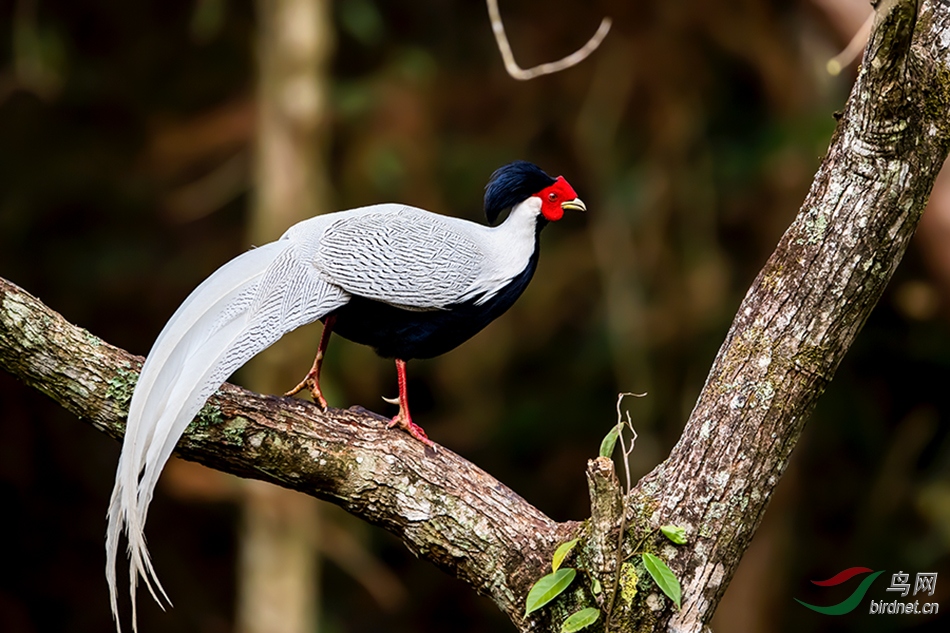 _DSC9010.jpg