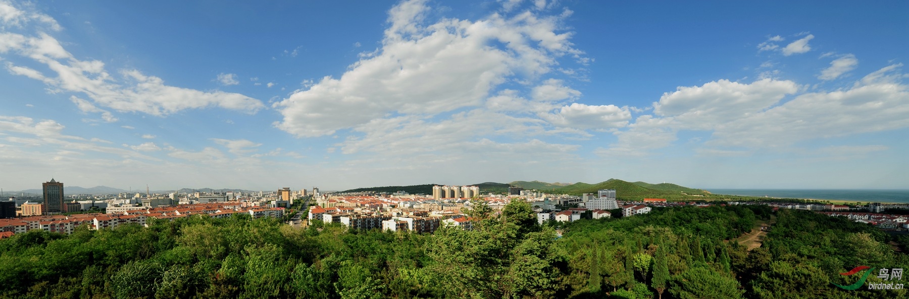 DSC_2481 ����_����.jpg