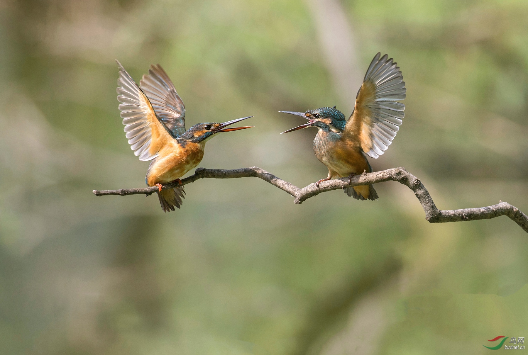 CI5A8894 - ���� - ���� - ���� - ����.jpg