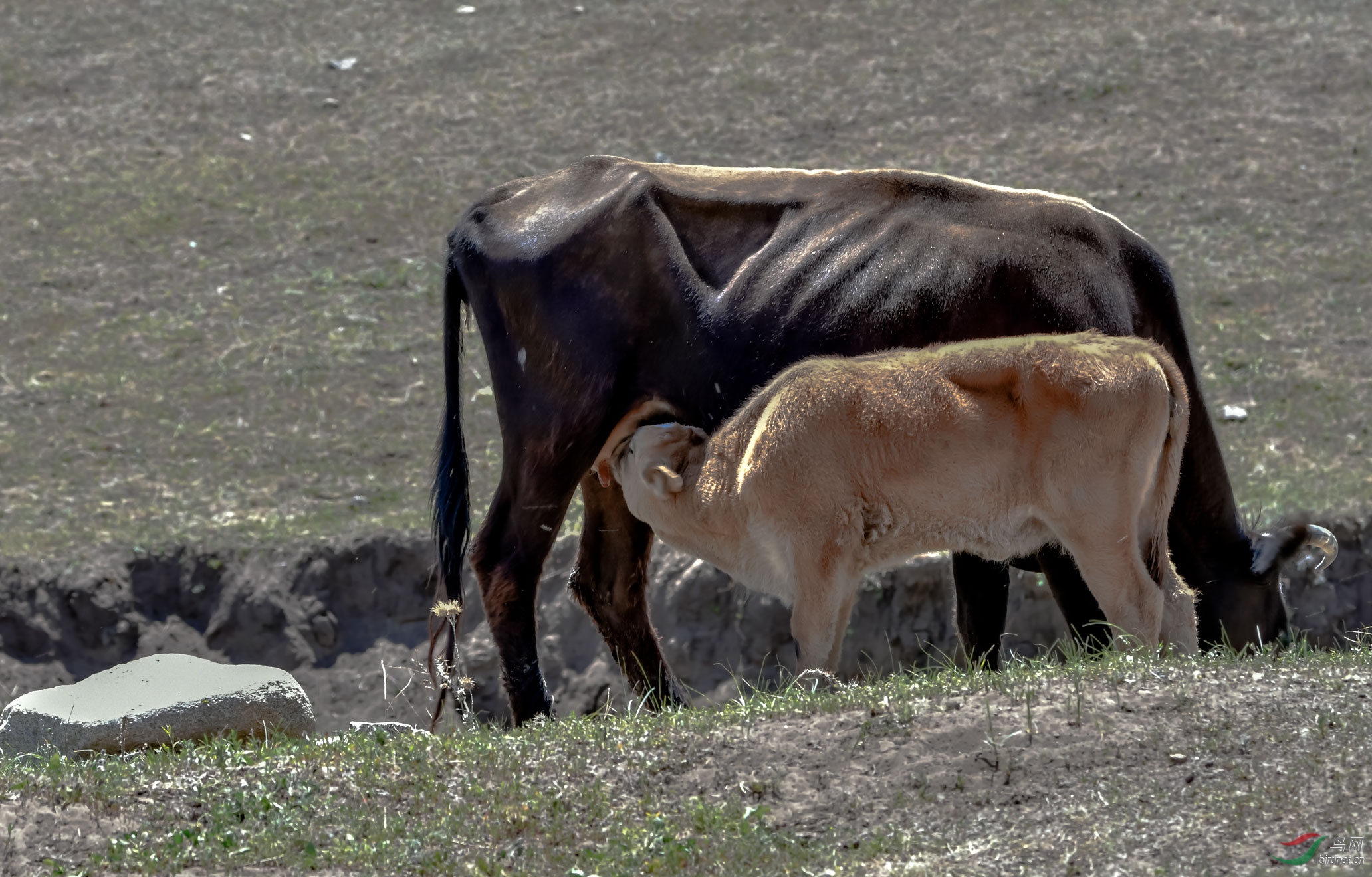 DSC_5717.jpg