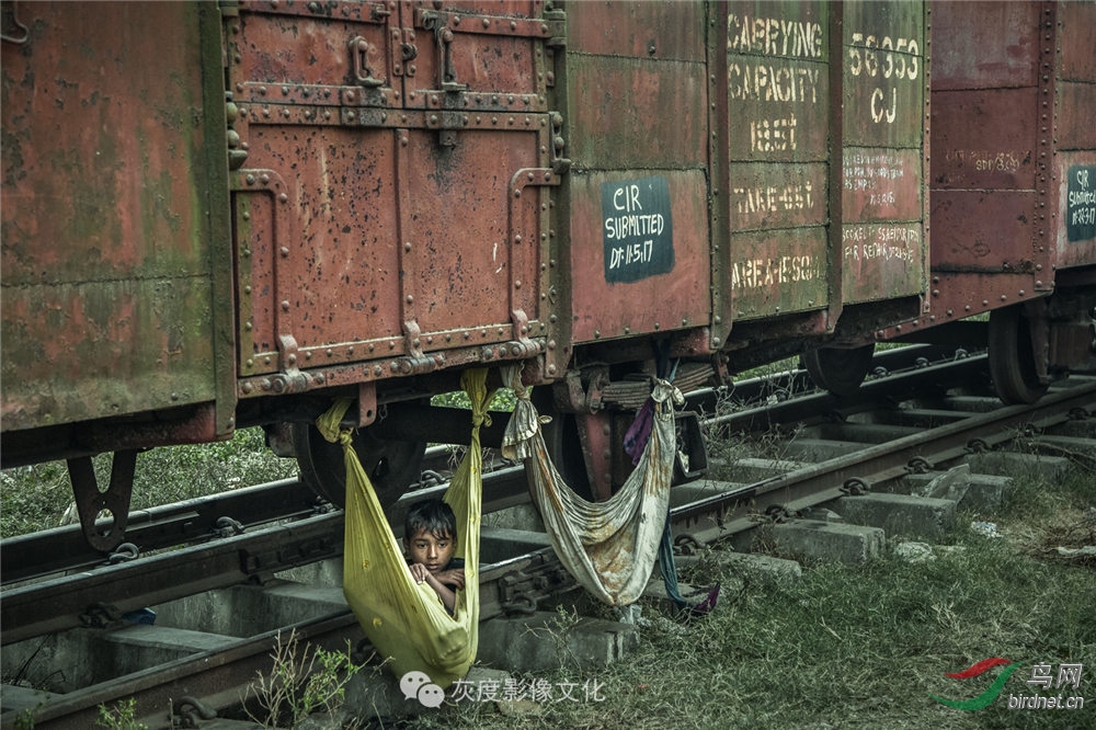 �ϼ�����Ӱ��