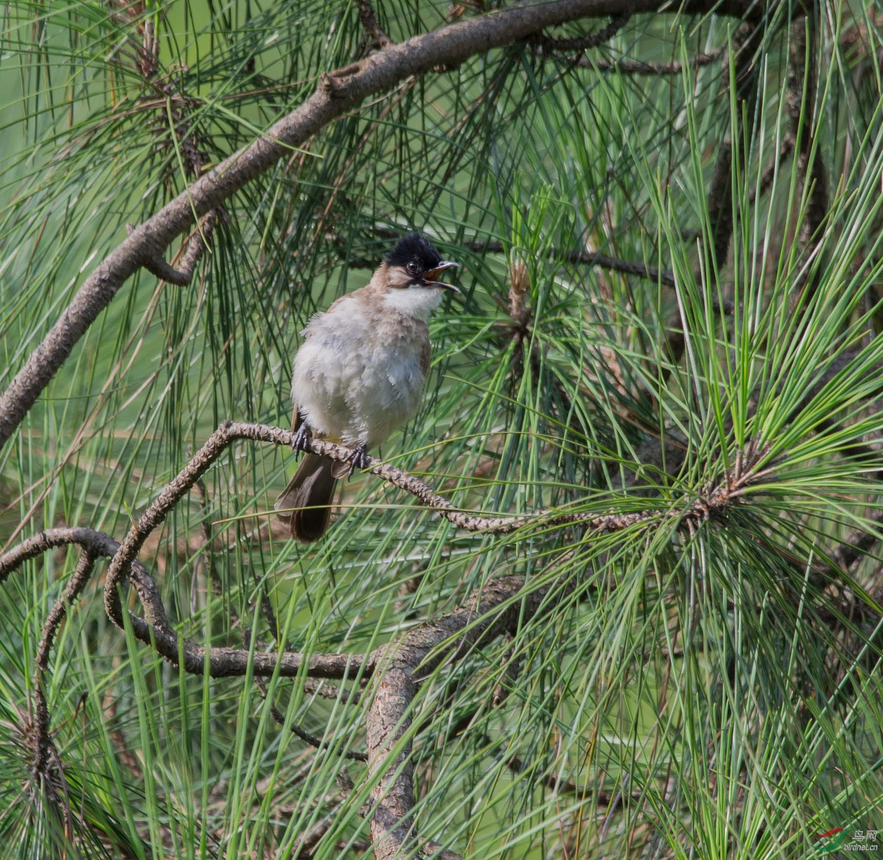 DSC_8537.jpg