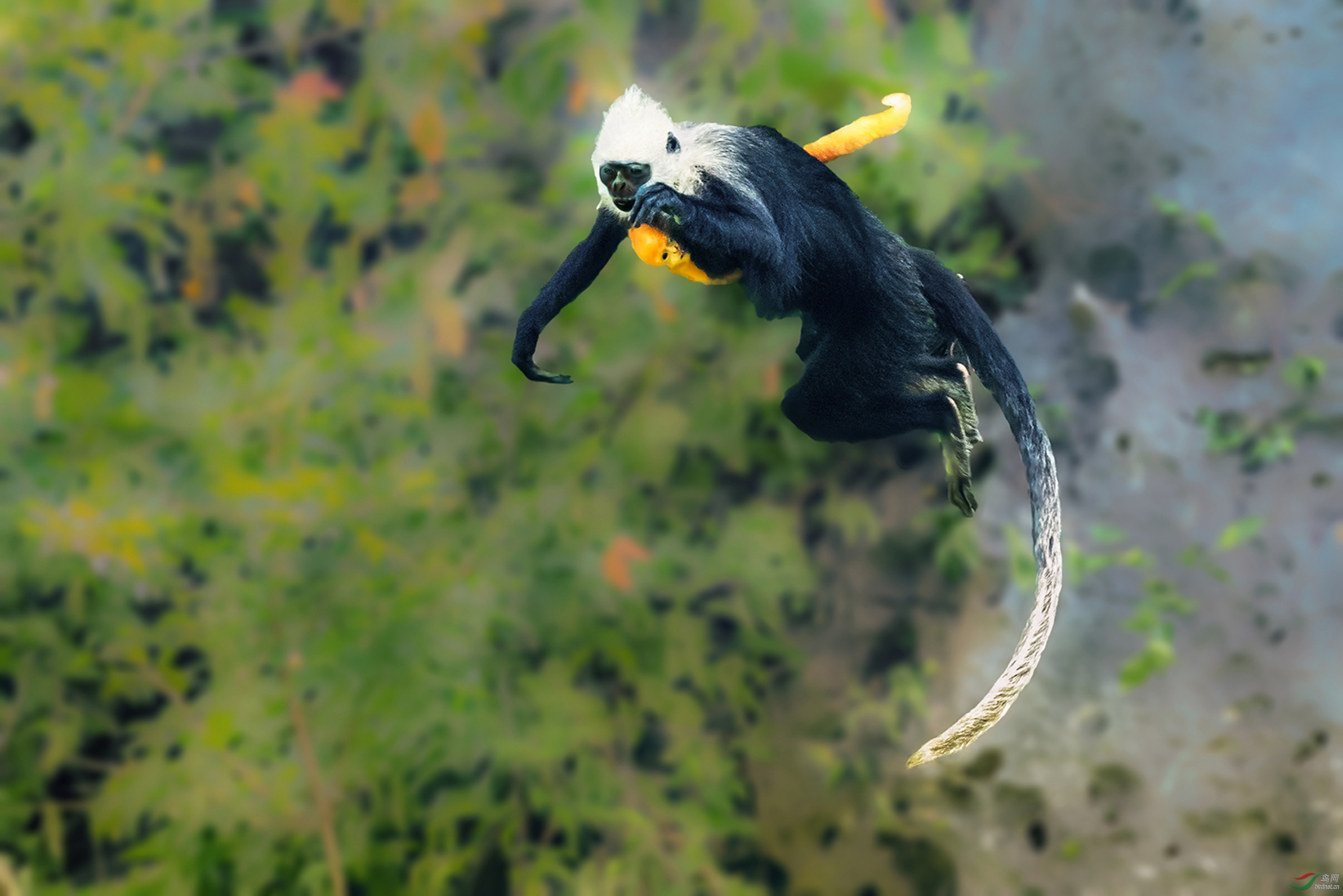 AC1I4223 (2)-1-�ָ���.jpg