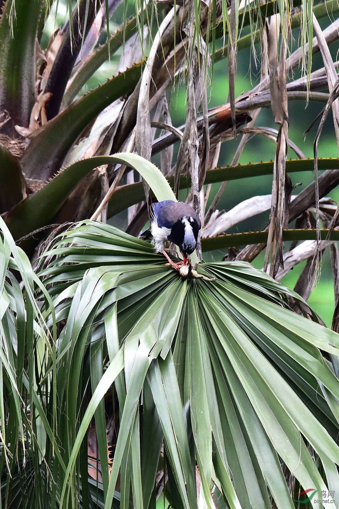 DSC_0168.JPG
