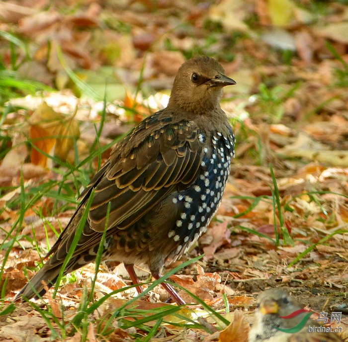 P8930687 - ����.JPG