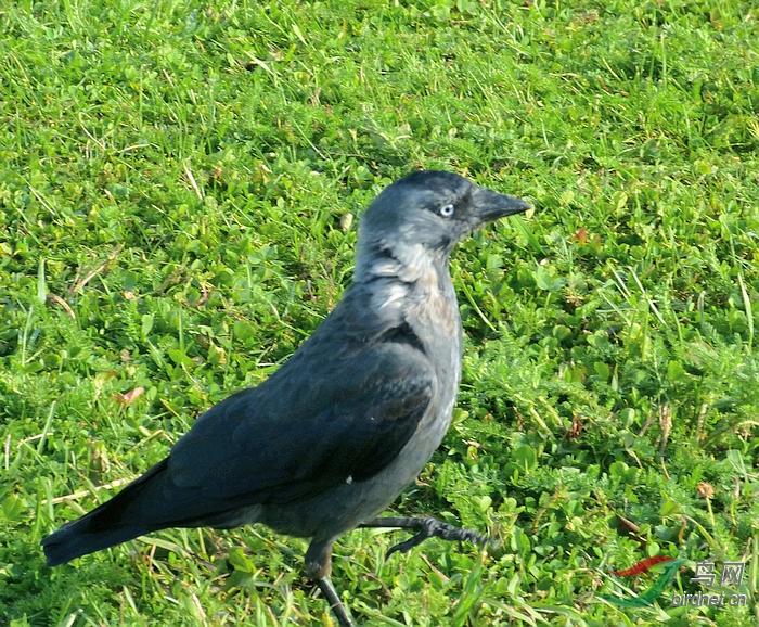 P8930003 - ����.JPG