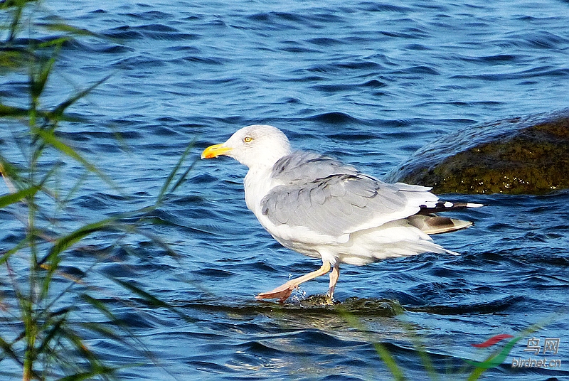 P8930048 - ����.JPG