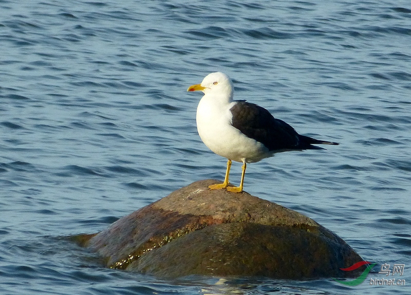 P8930114 - ����.JPG