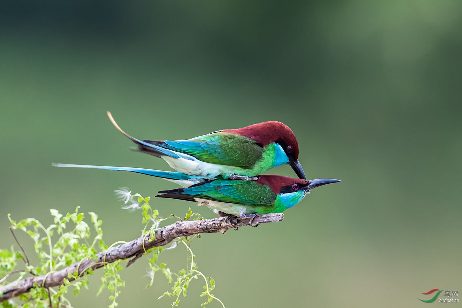 HS014817 ����.jpg