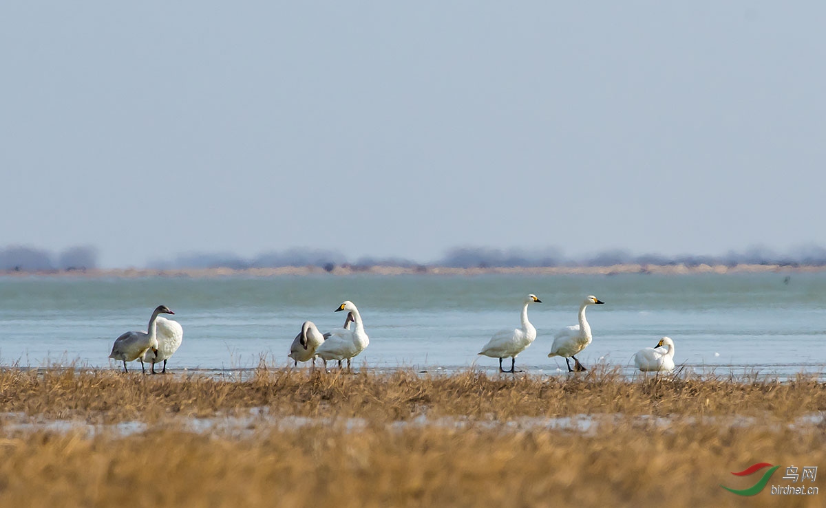 DSC_2189.jpg