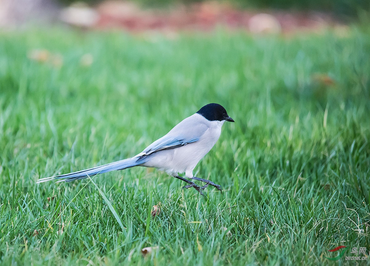 DSC_2848.jpg