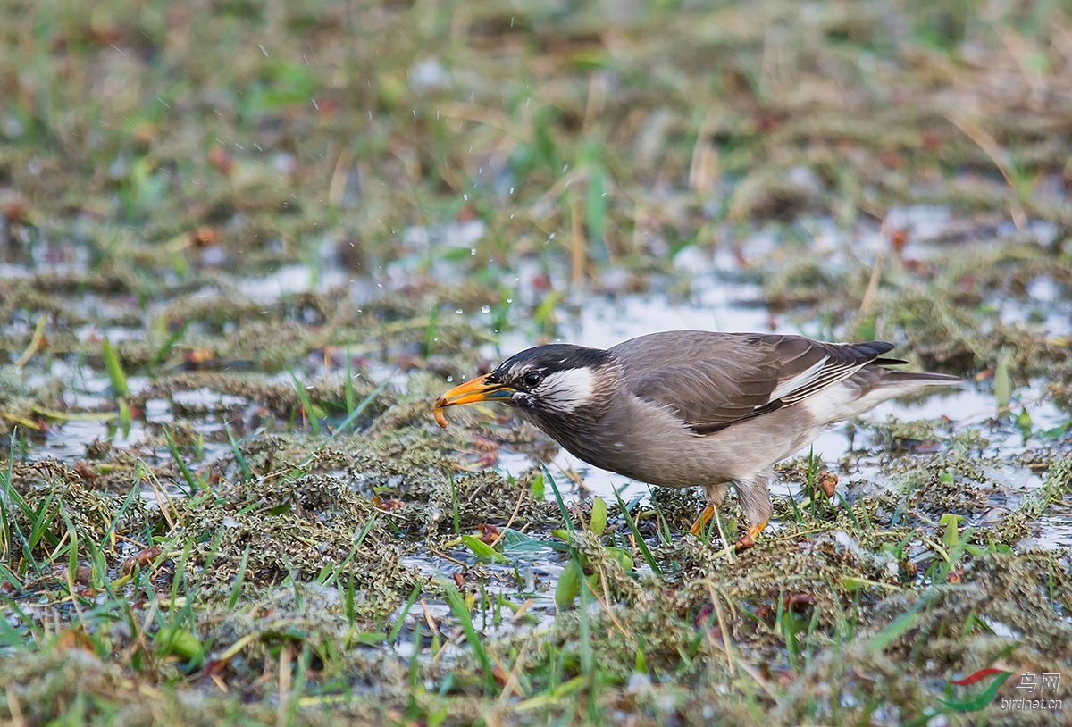DSC_3511.jpg