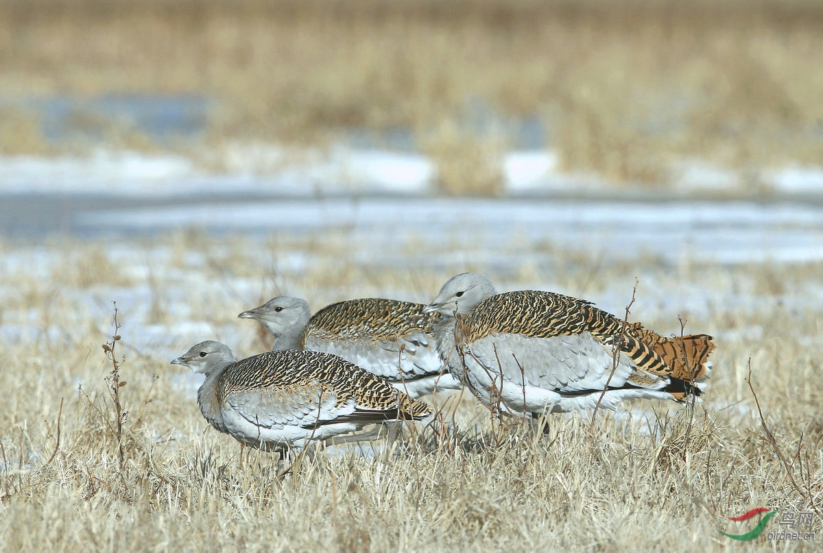 ��C 7_����.jpg