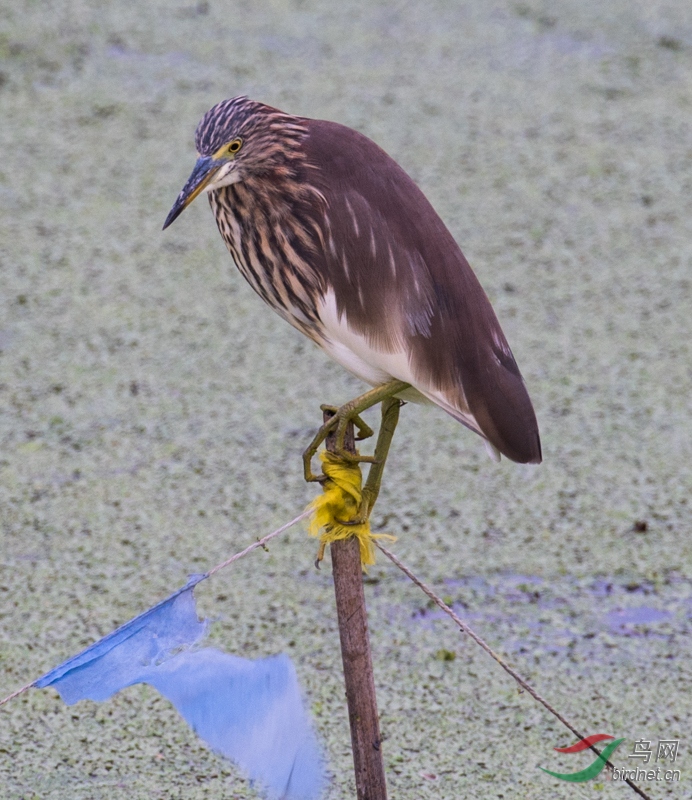 LJH_5953.jpg