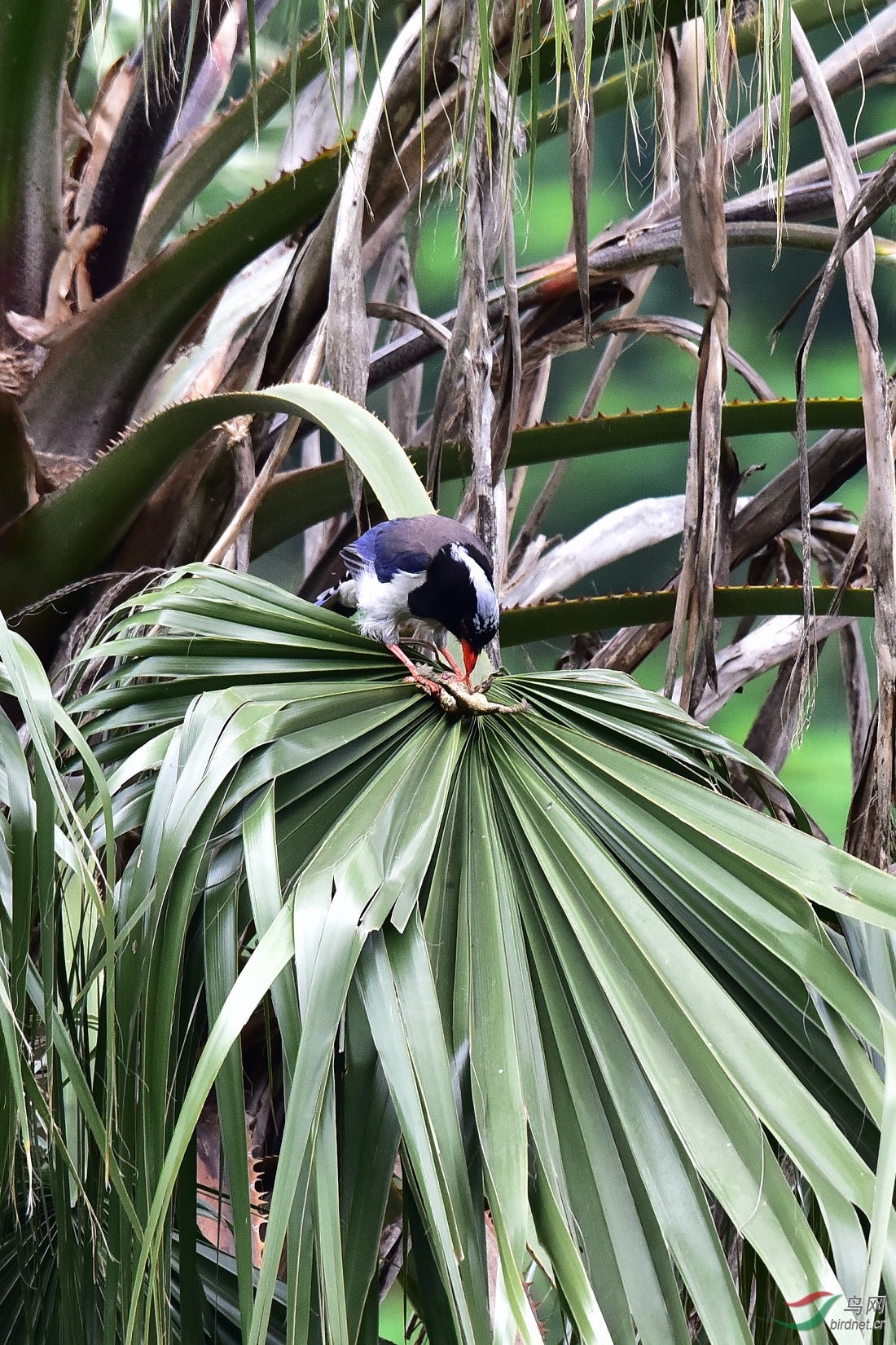 DSC_0173.JPG