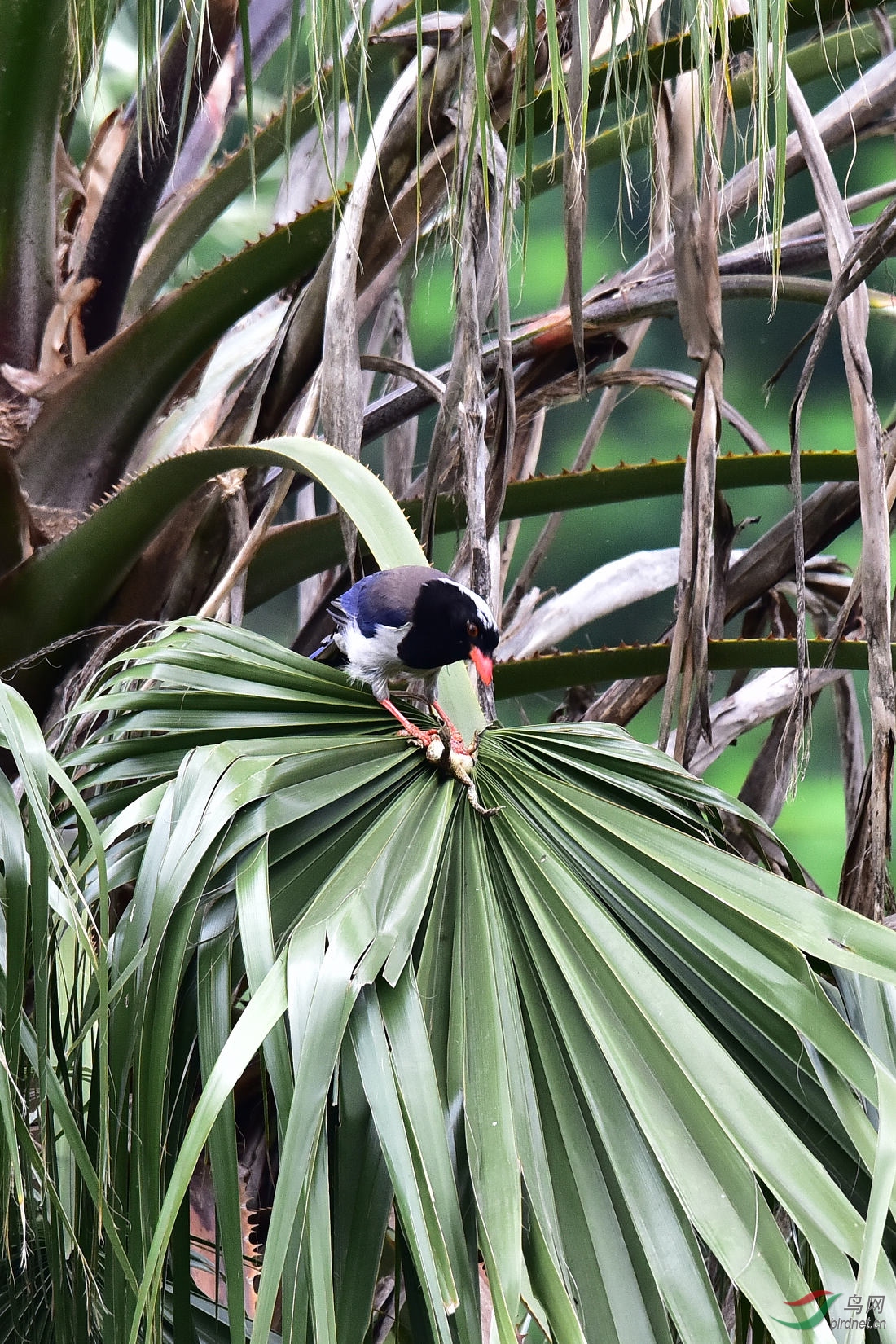 DSC_0176.JPG