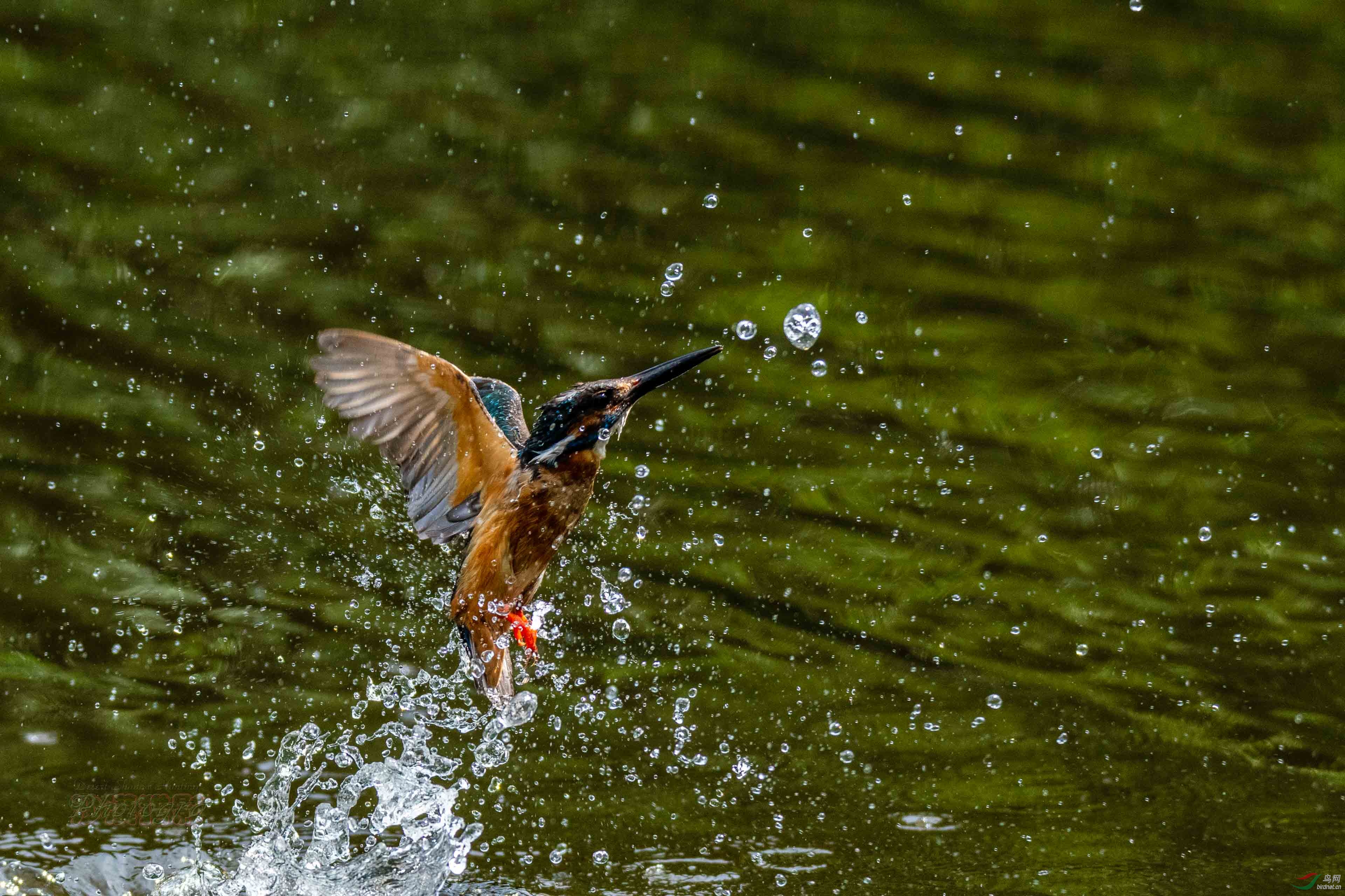 ���˹�ǰ��4��20190605_219.jpg