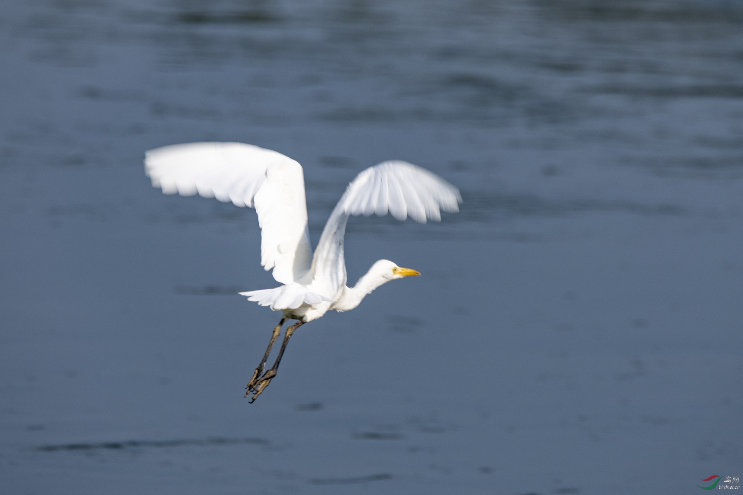 D85_5146.jpg