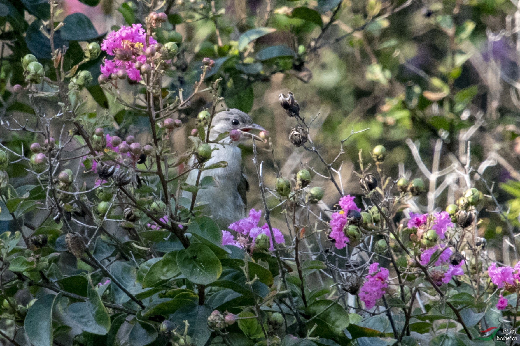 D50_9131.jpg