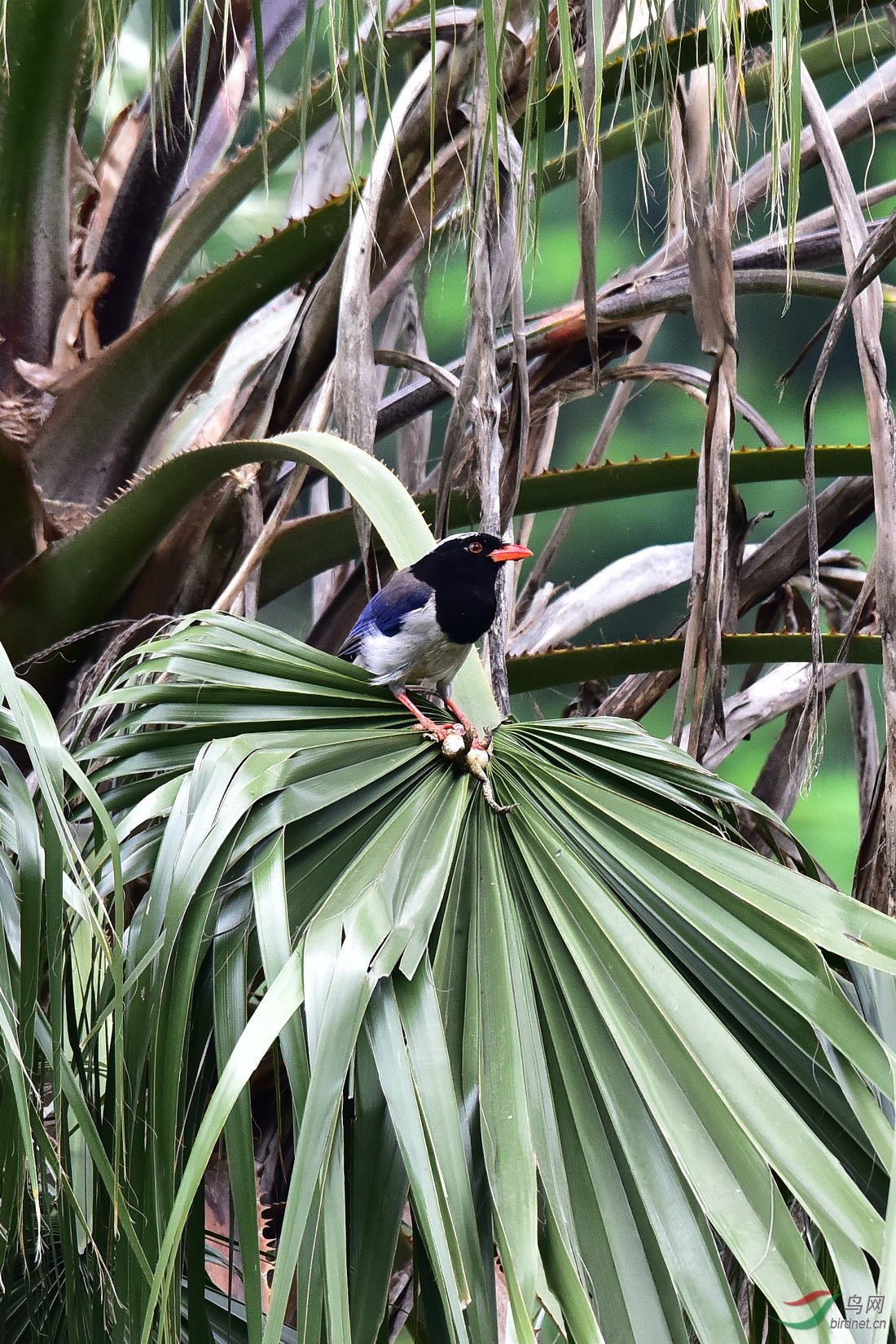 DSC_0177.JPG