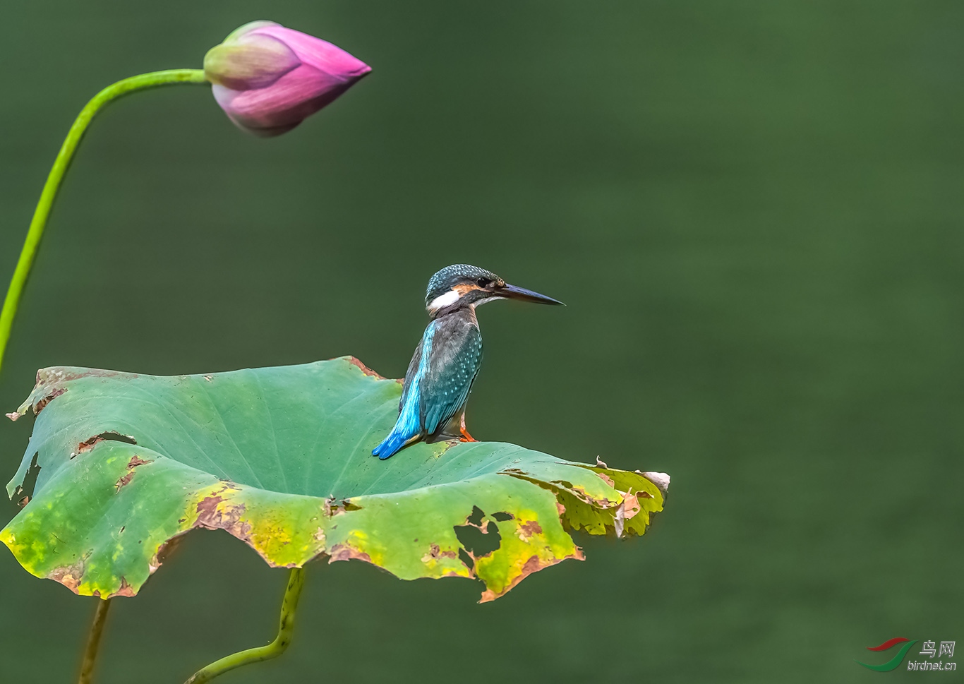 DSC_9972.JPG