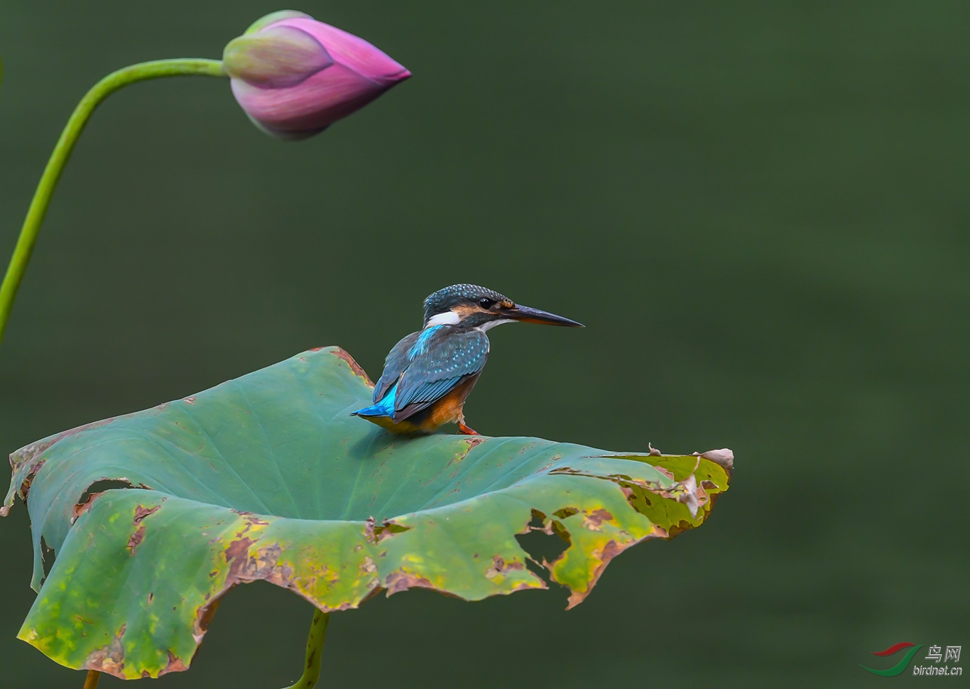DSC_9945.JPG