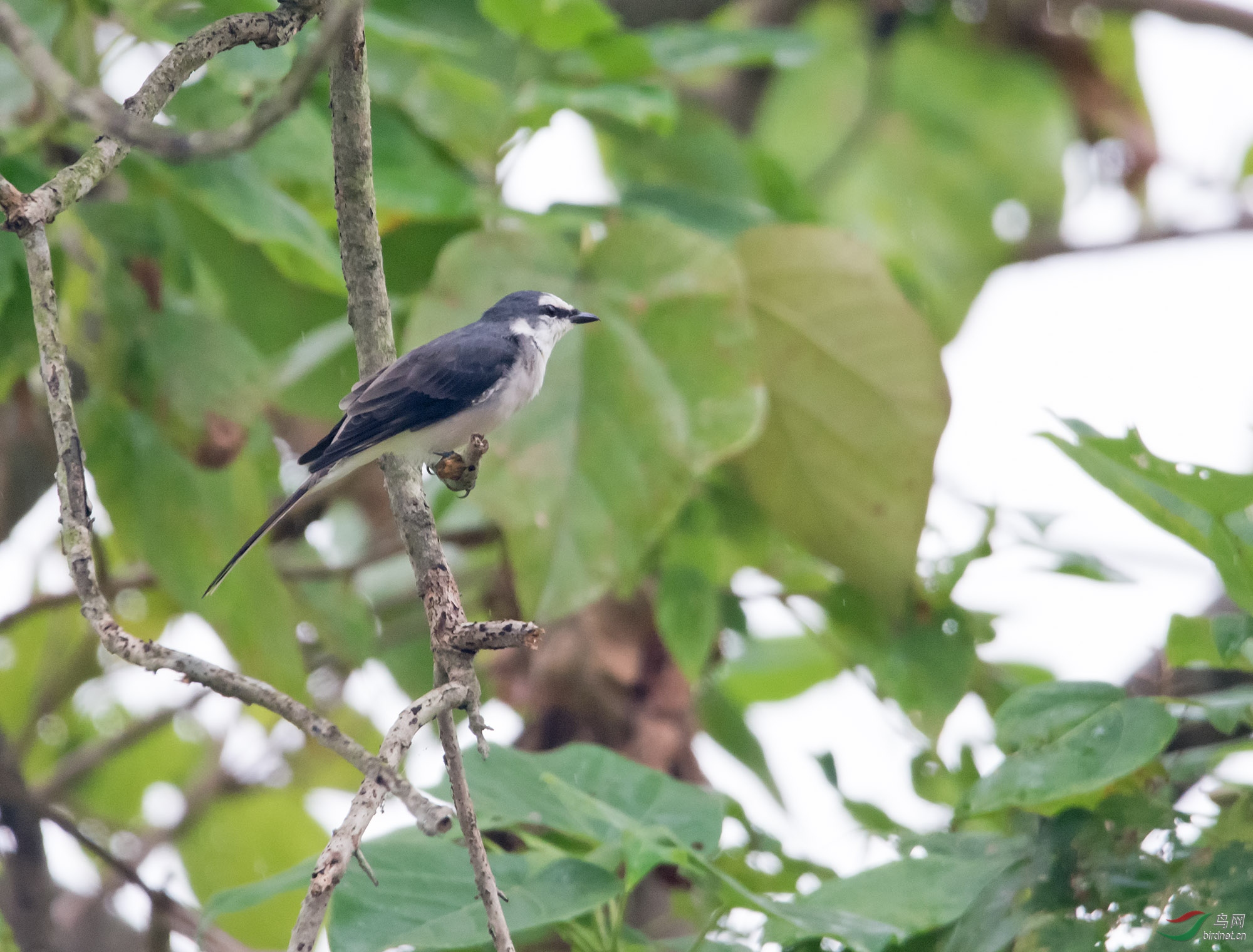 DSC_8742.jpg
