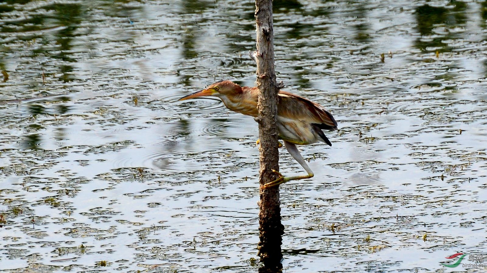 DSC_5741.JPG