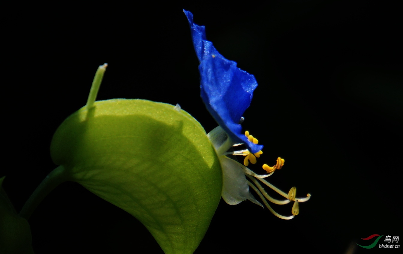 DSC01289.JPG