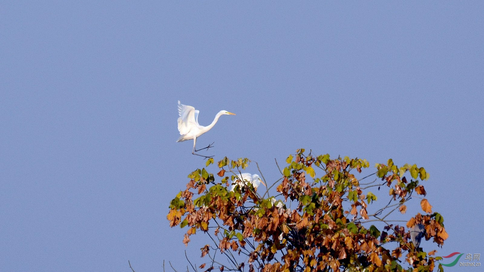 DSC_4618.JPG