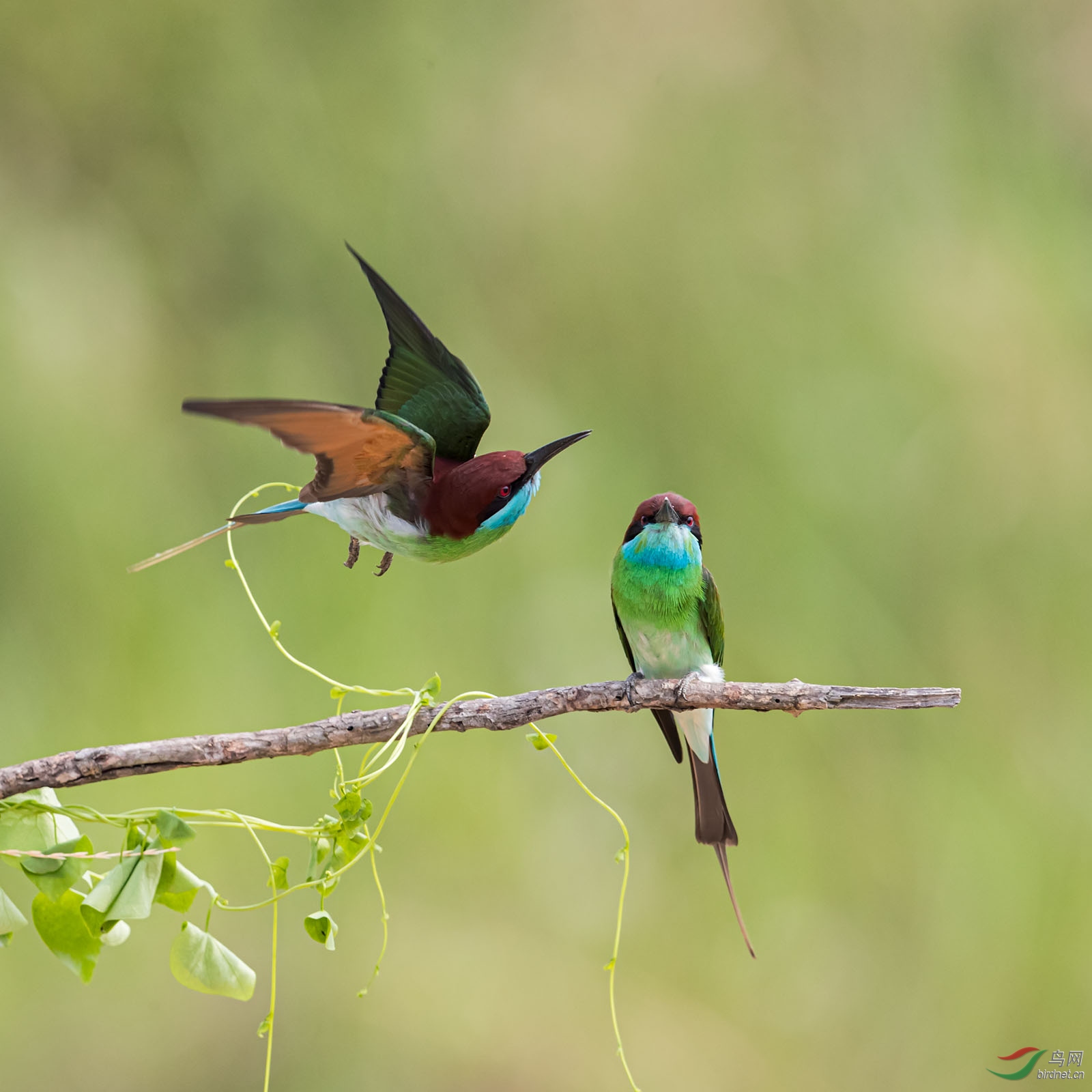 HS021243 ����.jpg