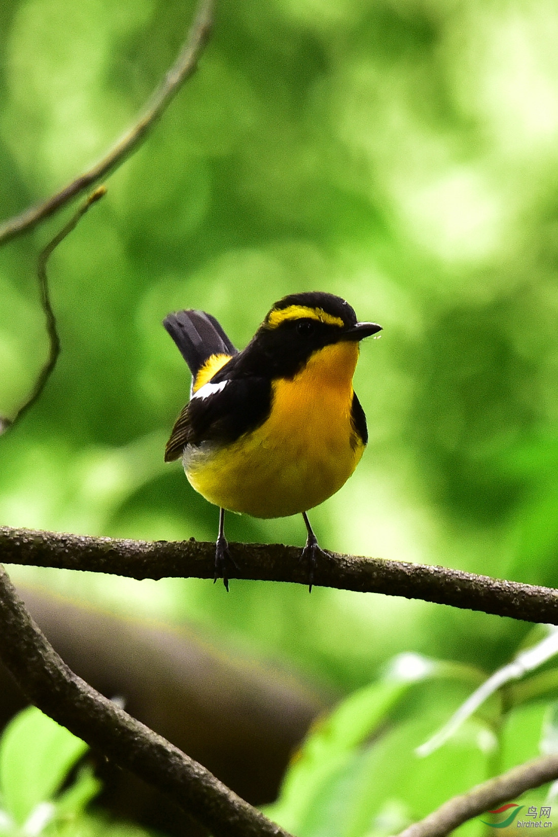 DSC_0951.JPG