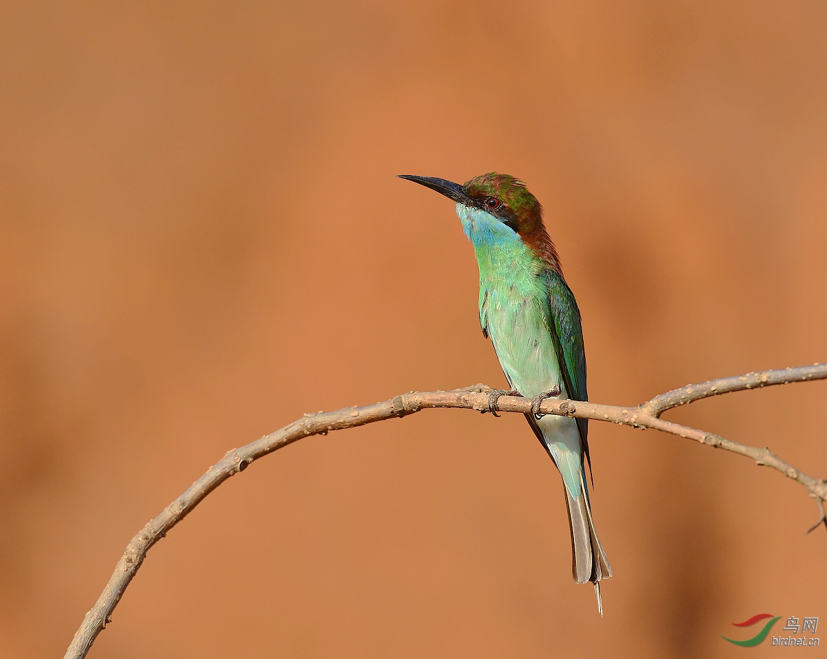 D8I_5925.jpg