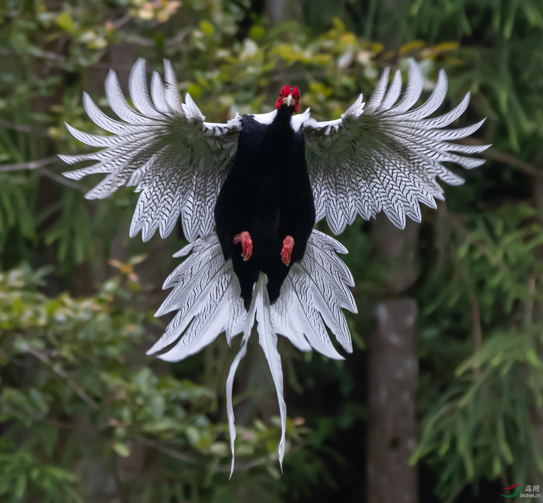 ������������