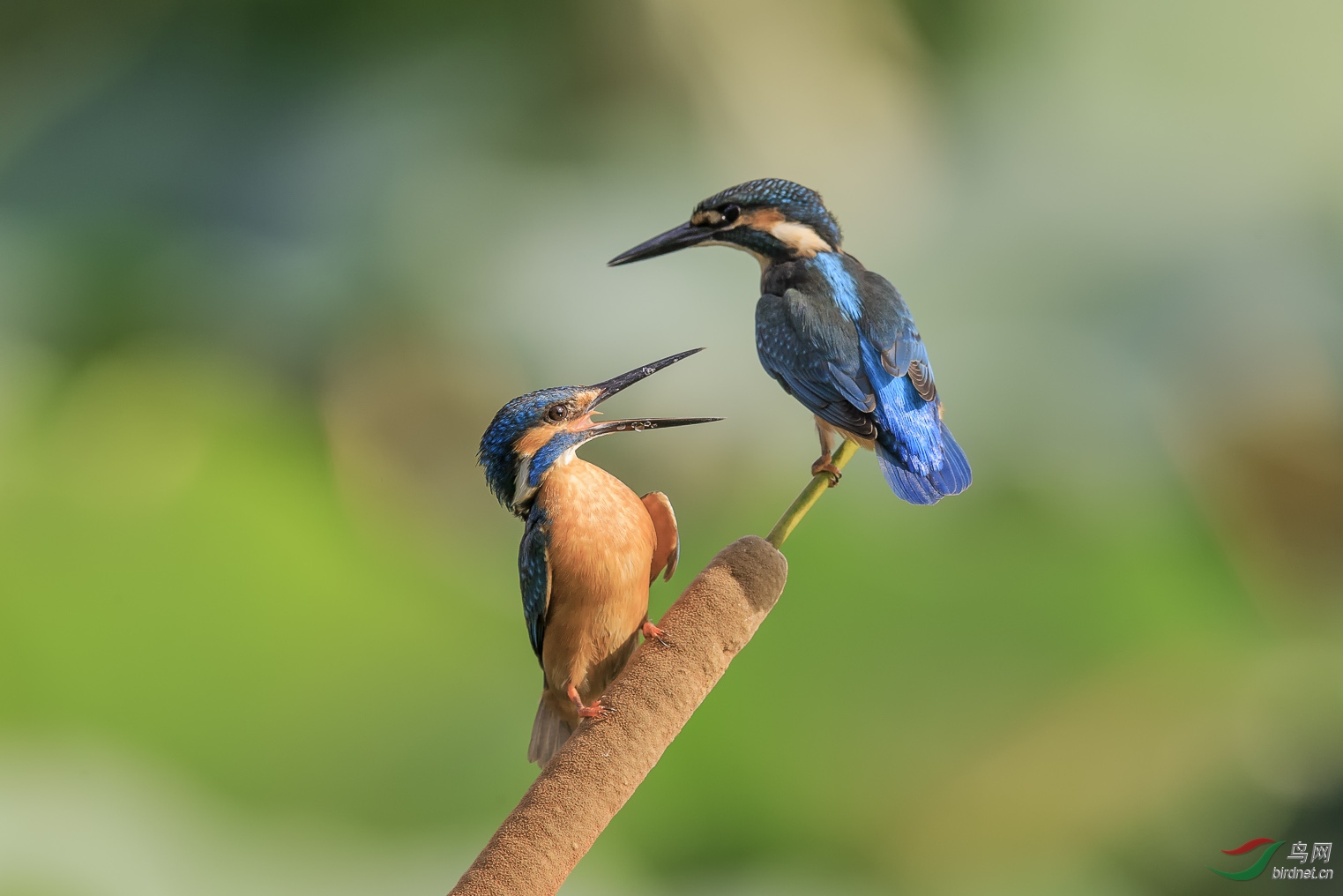 С��� C45Y5693.jpg